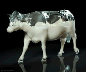 640.gif