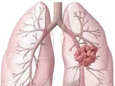 640.webp (22).jpg