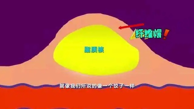 640.webp (10).jpg