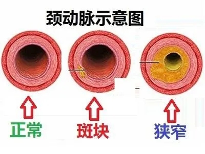 640.webp (11).jpg
