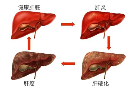 640.webp (4).jpg